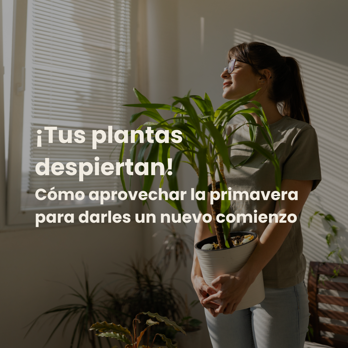 🌸¡Tus plantas despiertan! Cómo aprovechar la primavera para darles un nuevo comienzo