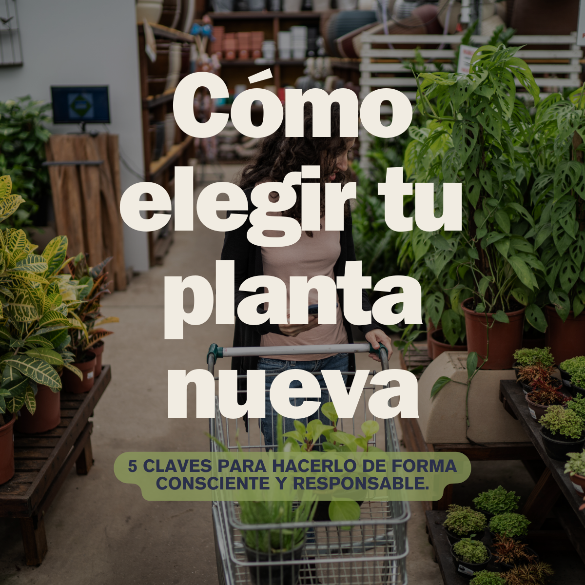 Cómo elegir tu planta nueva: 5 claves para hacerlo de forma consciente y responsable.