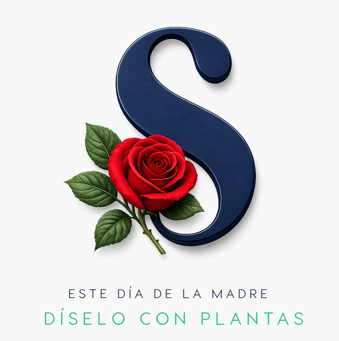 Regalos Día de la Madre