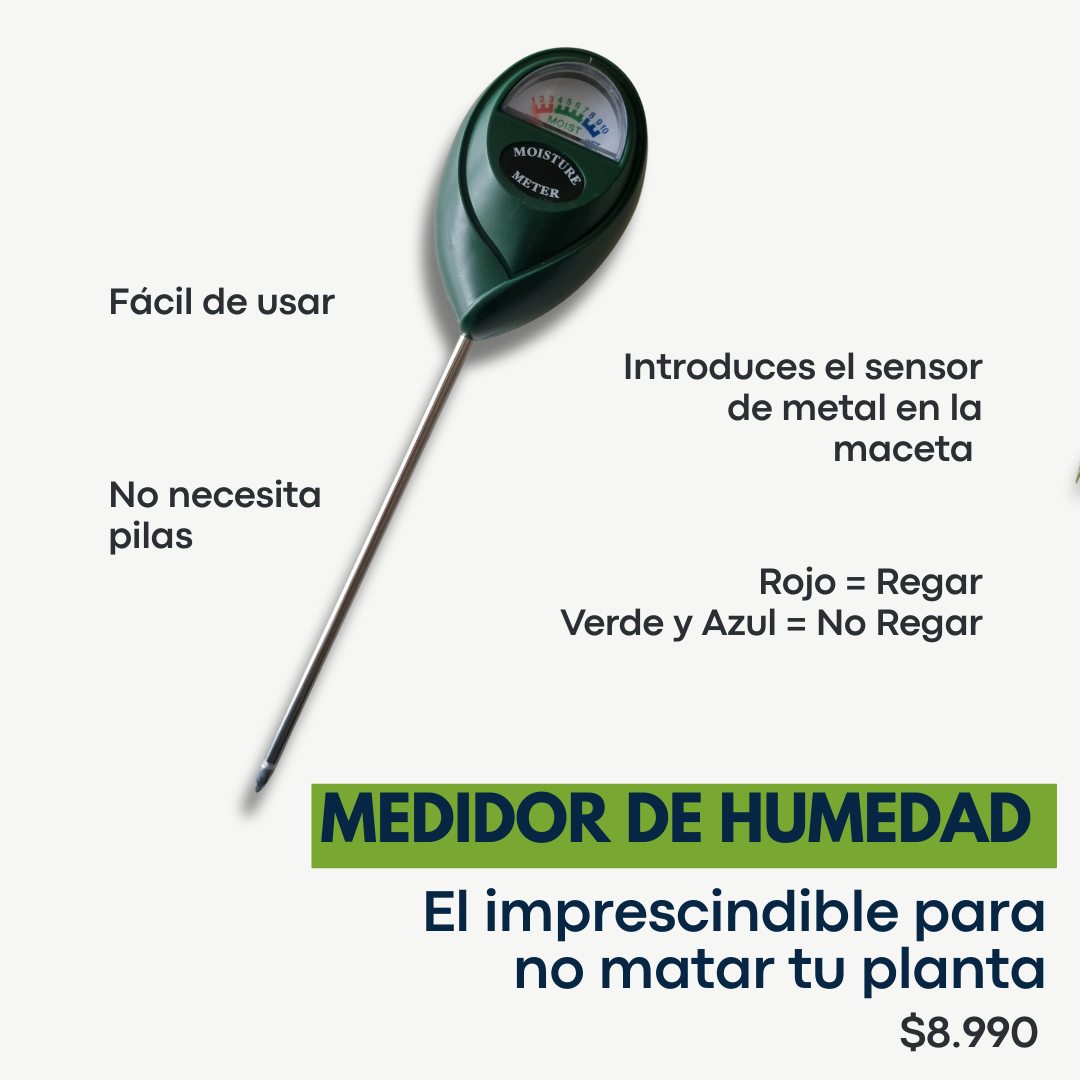 Pack Primera Planta: Monstera + Macetero Deco + Medidor de Humedad + REGALO: Guía Paso a Paso + Monitoreo Guiado Inicial + Envío Gratis en Santiago