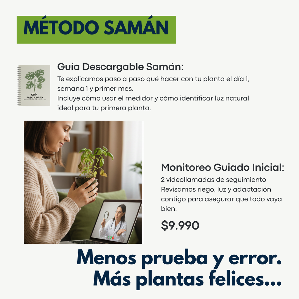 Pack Primera Planta: Monstera + Macetero Deco + Medidor de Humedad + REGALO: Guía Paso a Paso + Monitoreo Guiado Inicial + Envío Gratis en Santiago