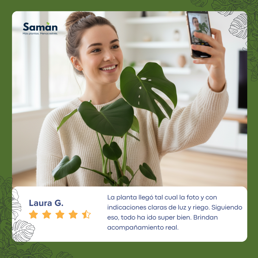 Pack Primera Planta: Monstera + Macetero Deco + Medidor de Humedad + REGALO: Guía Paso a Paso + Monitoreo Guiado Inicial + Envío Gratis en Santiago
