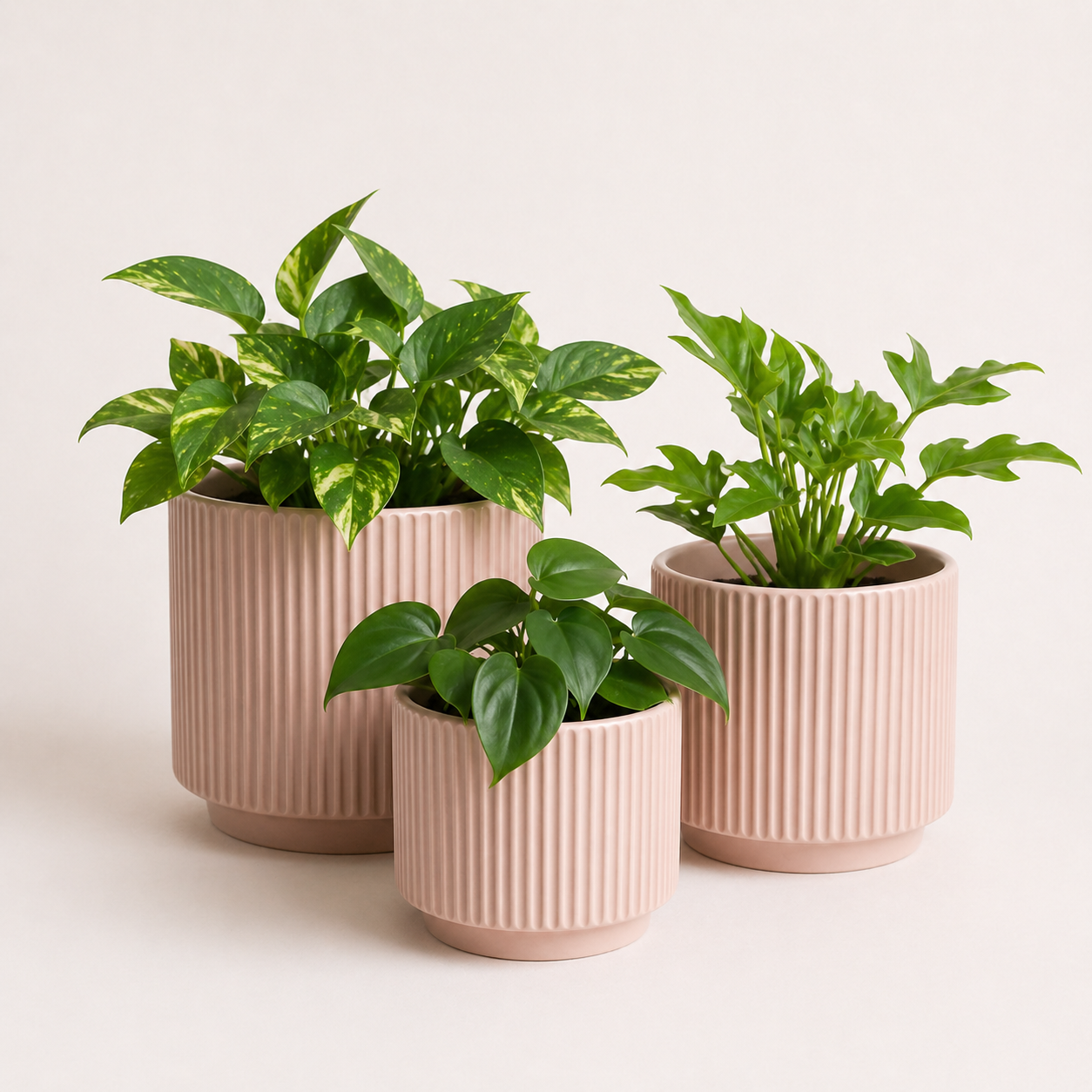 Portamacetero ceramica rosa - Diseño minimalista