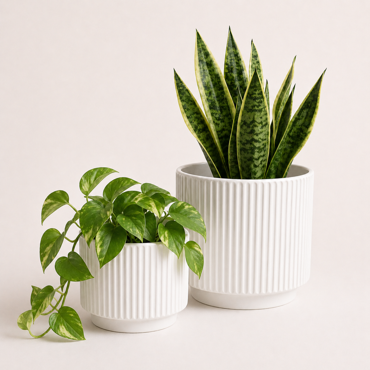 Portamacetero ceramica blanco - Diseño minimalista
